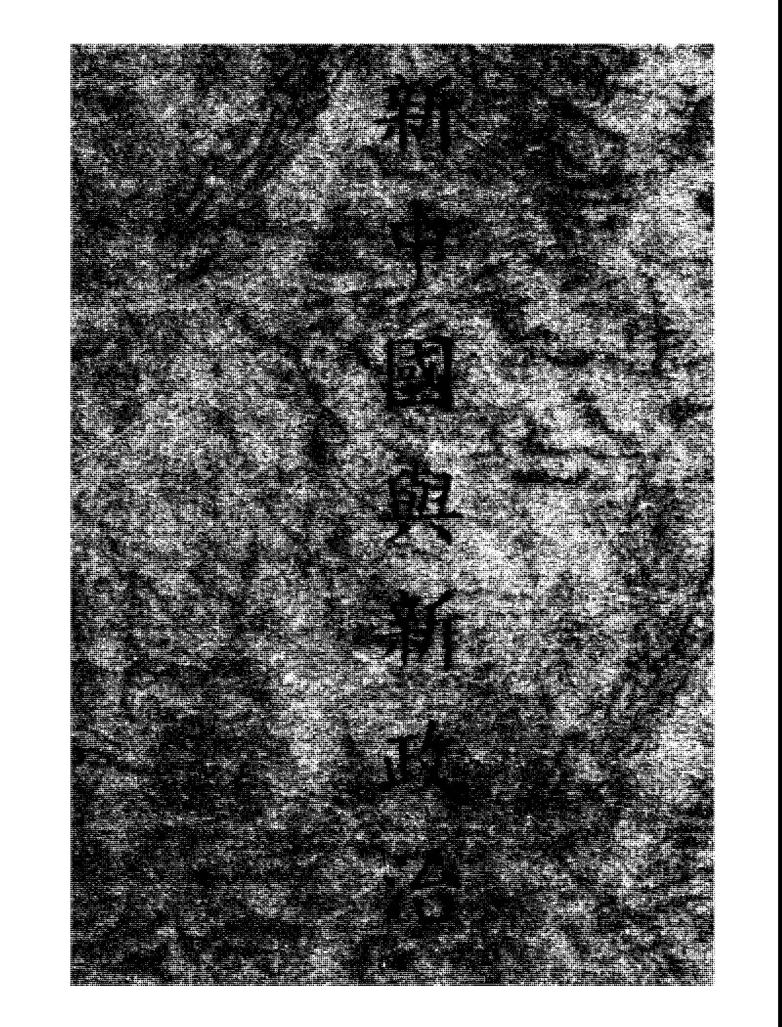 新中國與新政治