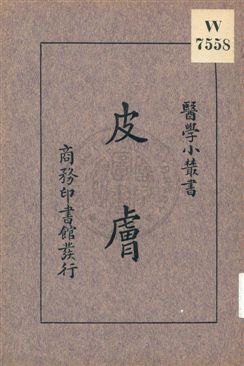 皮膚