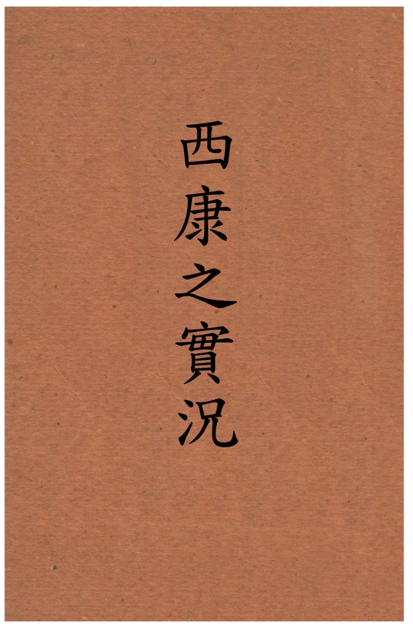 西康之實况